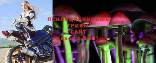 сатива Зерноград