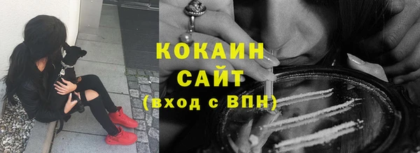 сатива Зерноград