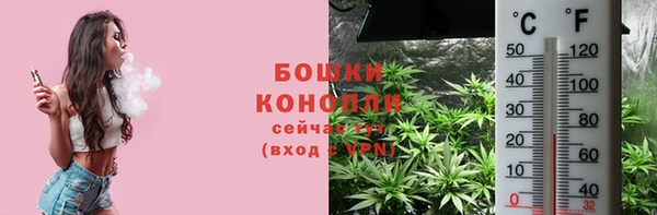 сатива Зерноград