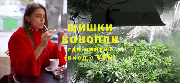 сатива Зерноград