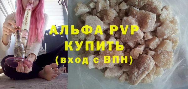 сатива Зерноград