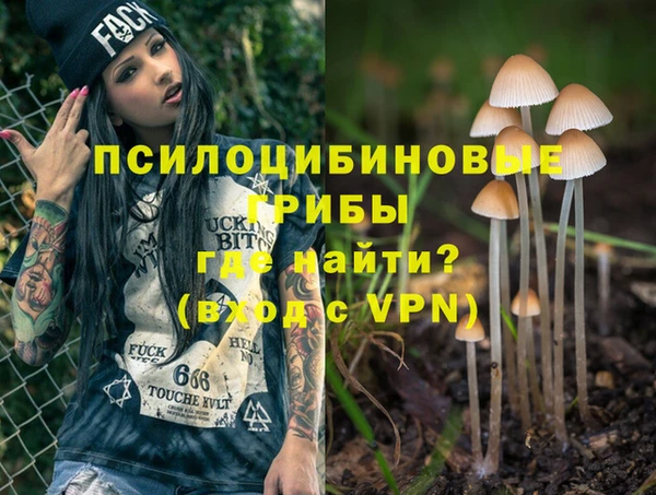 сатива Зерноград