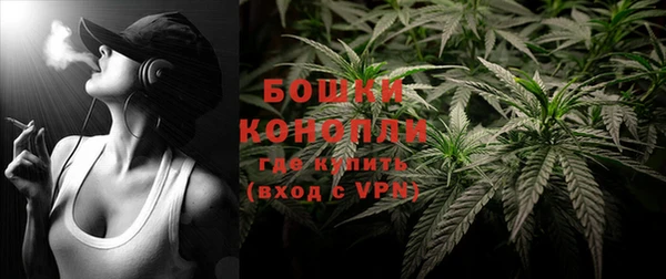 сатива Зерноград