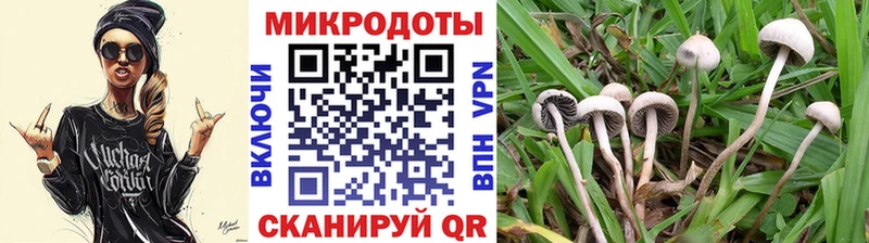 Купить закладки  Бронницы  Псилоцибиновые грибы прущие грибы 